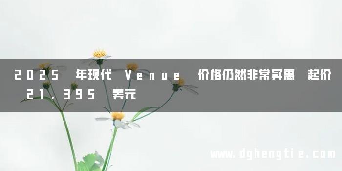 2025 年现代 Venue 价格仍然非常实惠 起价 21,395 美元